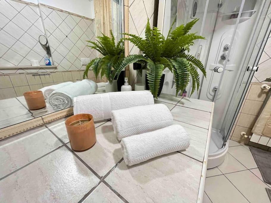 Casa Vacanza Fiera Di Roma Ponte Galeria Εξωτερικό φωτογραφία
